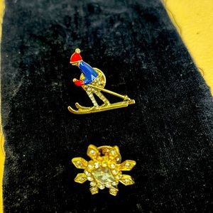 Skier and rosette pin